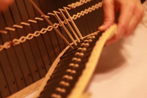 IMG_2797