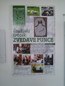 ŠKZvedave punce (9)