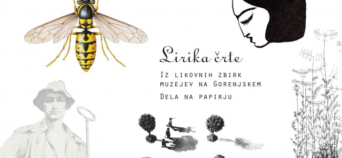 Lyrics of line – exhibition of all Gorenjska museums