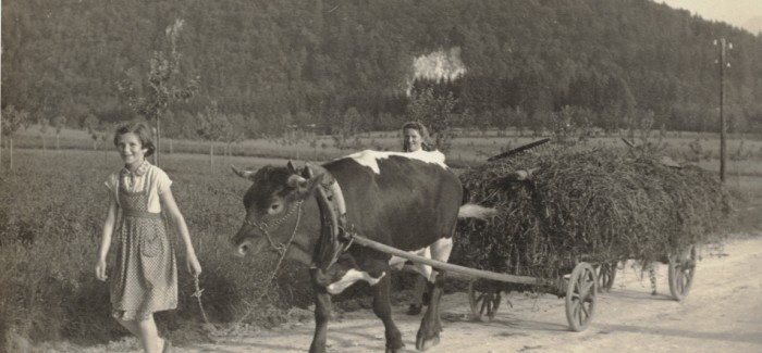 Museum’s evening Transport on Gorenjska once upon a time