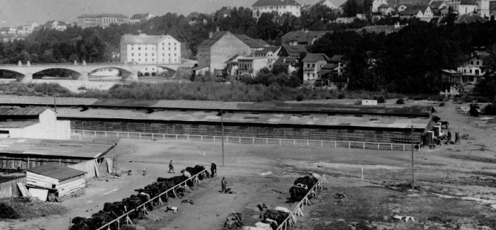 Exhibition opening Peacefully soldiers sleep eternal sleep: Gorenjska and its inhabitants during 1WW