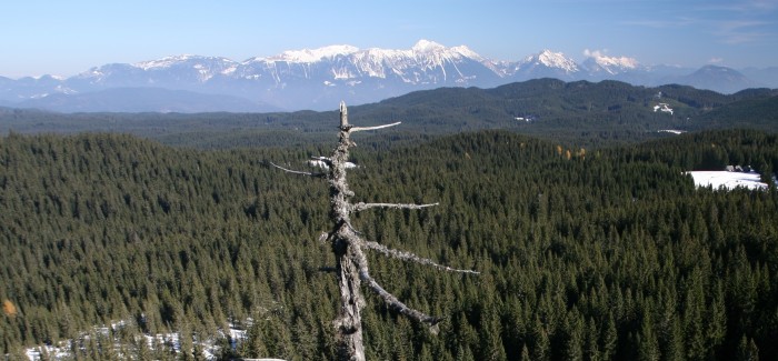 (Slovenski) Odprtje gostujoče razstave Gozdovi Kranjske industrijske družbe