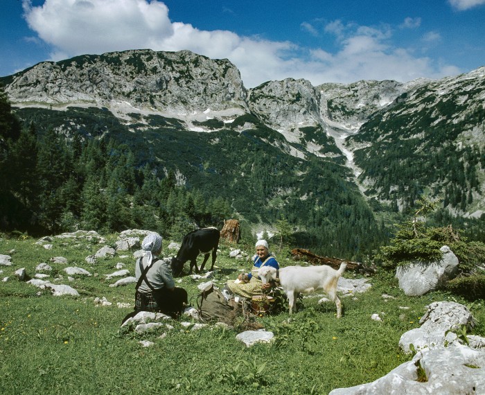 (Slovenski) Odprtje razstave Bohinjske planine pred štirimi desetletji