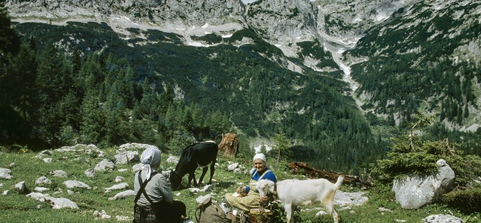 (Slovenski) Odprtje fotografske razstave Bohinjske planine pred štirimi desetletji