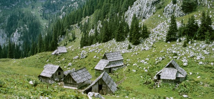 (Slovenski) Odprtje razstave Bohinjske planine pred štirimi desetletji