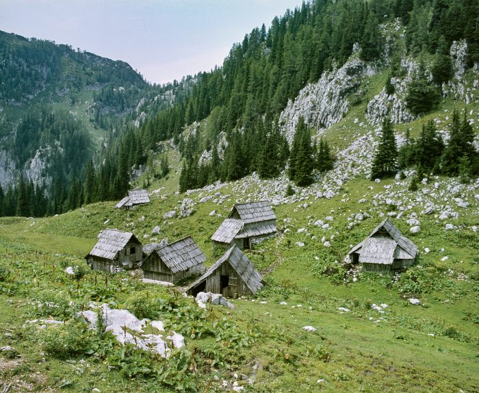 (Slovenski) Odprtje razstave Bohinjske planine pred štirimi desetletji