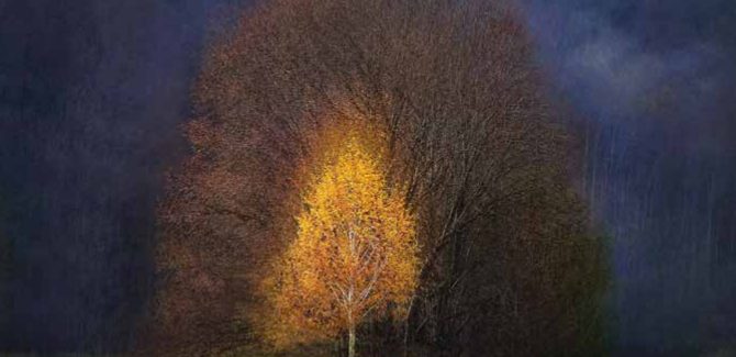 Odprtje 55. pregledne razstave slovenske fotografije in Pregledne