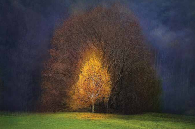 Odprtje 55. pregledne razstave slovenske fotografije